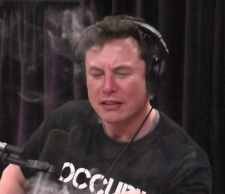 Elon Musk Decided to Kill the Crypto Markets Tonight