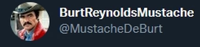 Burt Reynolds Mustache Sums up the Fake News Media in one Tweet