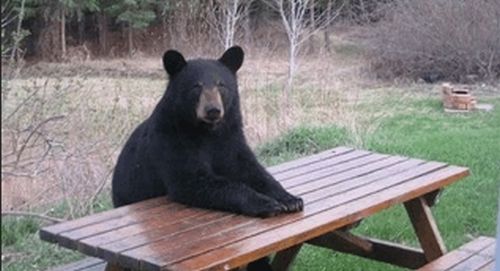 Today’s Market Action Was Worse than it Looks