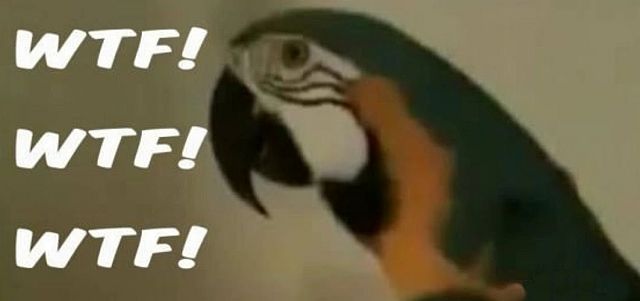 Owning a Parrot is Racist