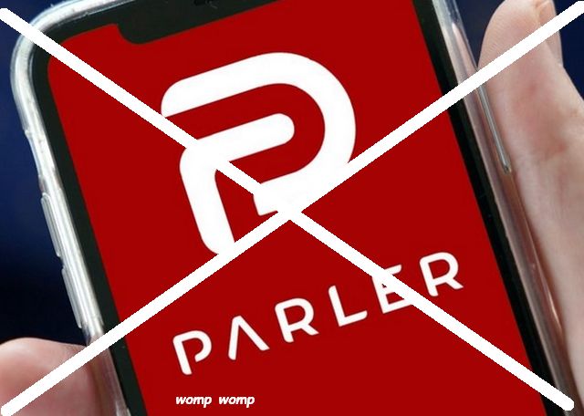 Goodbye Parler