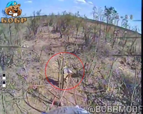 The True Terrifying Face of Modern Warfare (Videos)
